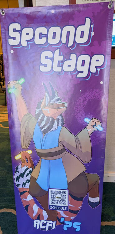 ACFI 2025 Banner for Second Stage