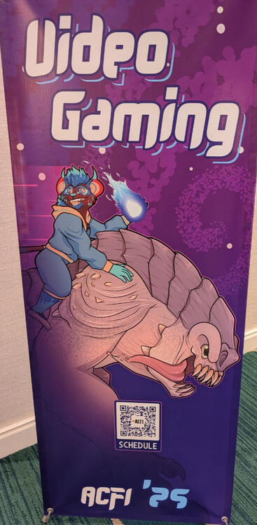 ACFI 2025 Banner for the Video Game area